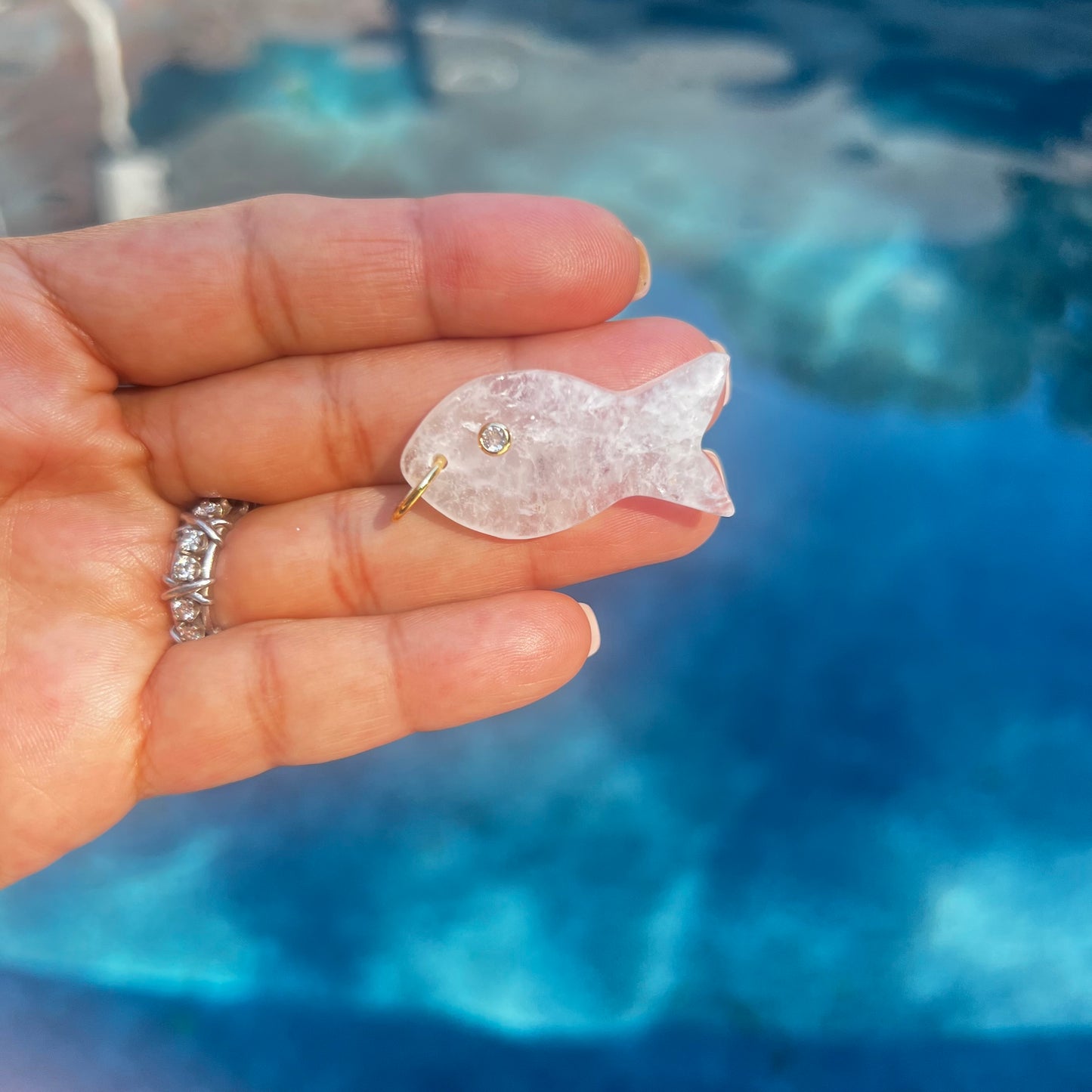 Jumbo Gemstone Fish Charms - Abundance